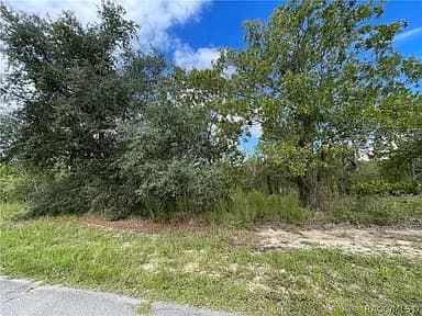 3 Dahlia Ct S, Homosassa — photo 2