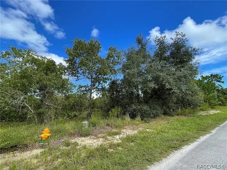 3 Dahlia Ct S, Homosassa — photo 3
