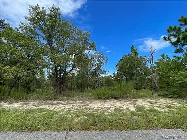 3 Dahlia Ct S, Homosassa — photo 4