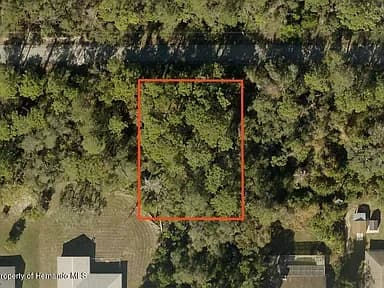 9024 Waterbird Way, Weeki Wachee — photo 4